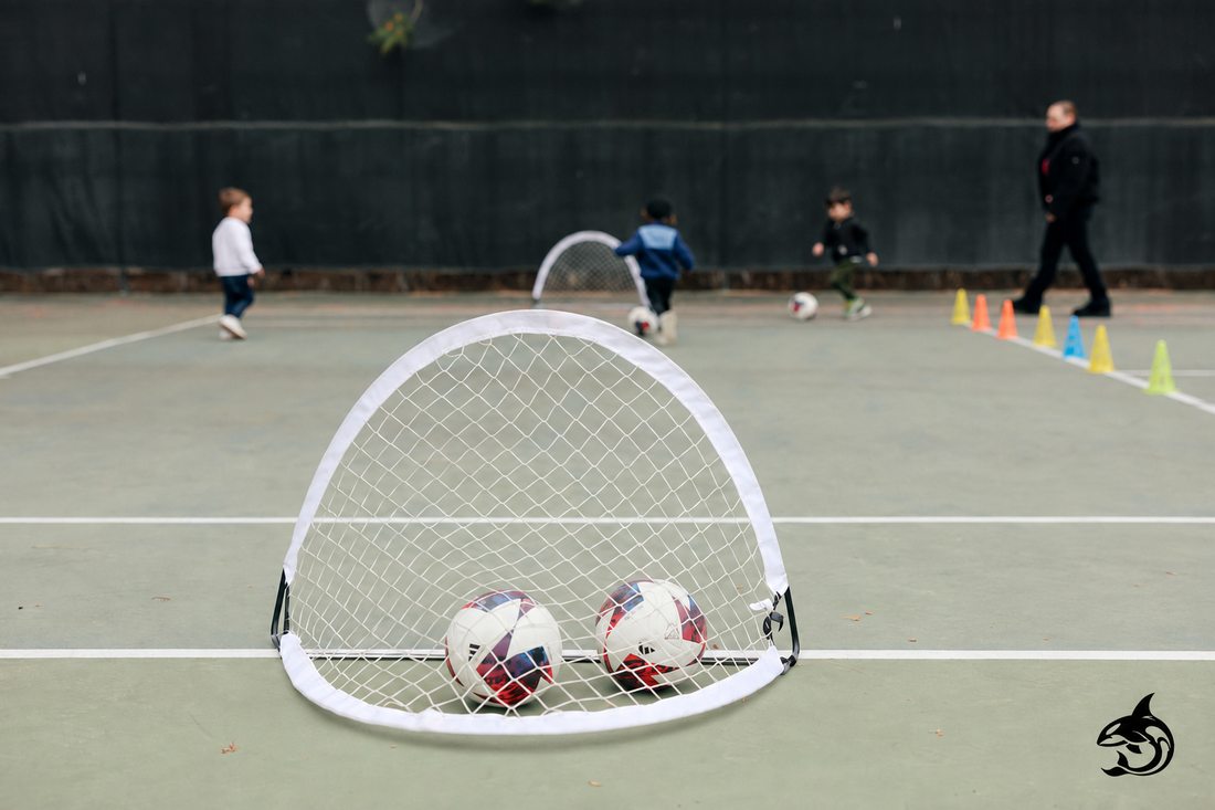 Soccer balls and a small goal at an AC ORCA session, with coaching in the background.